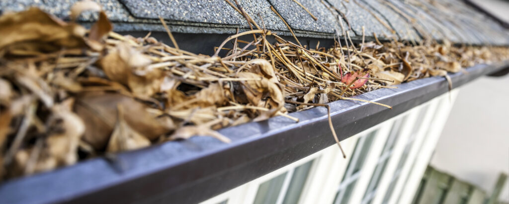 gutter cleaning service